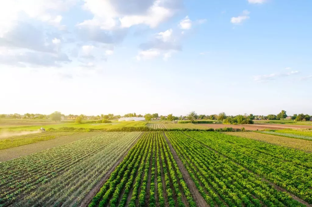 Venta de semillas agrícolas en Venezuela