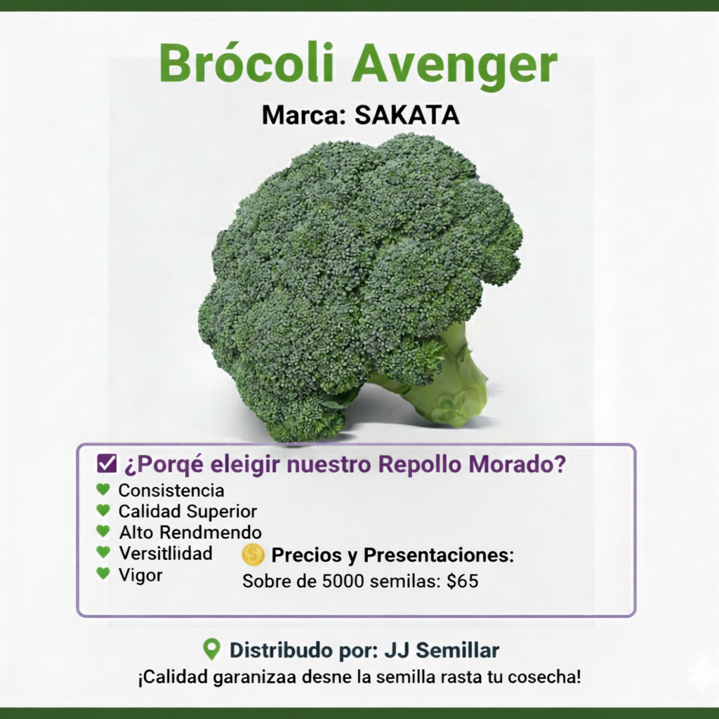 brócoli
