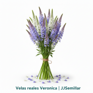 velas reales veronica