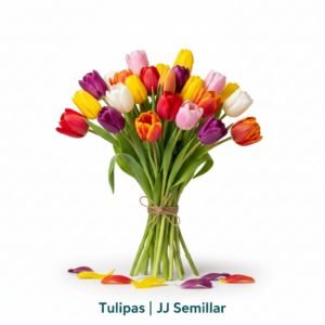 tulipas