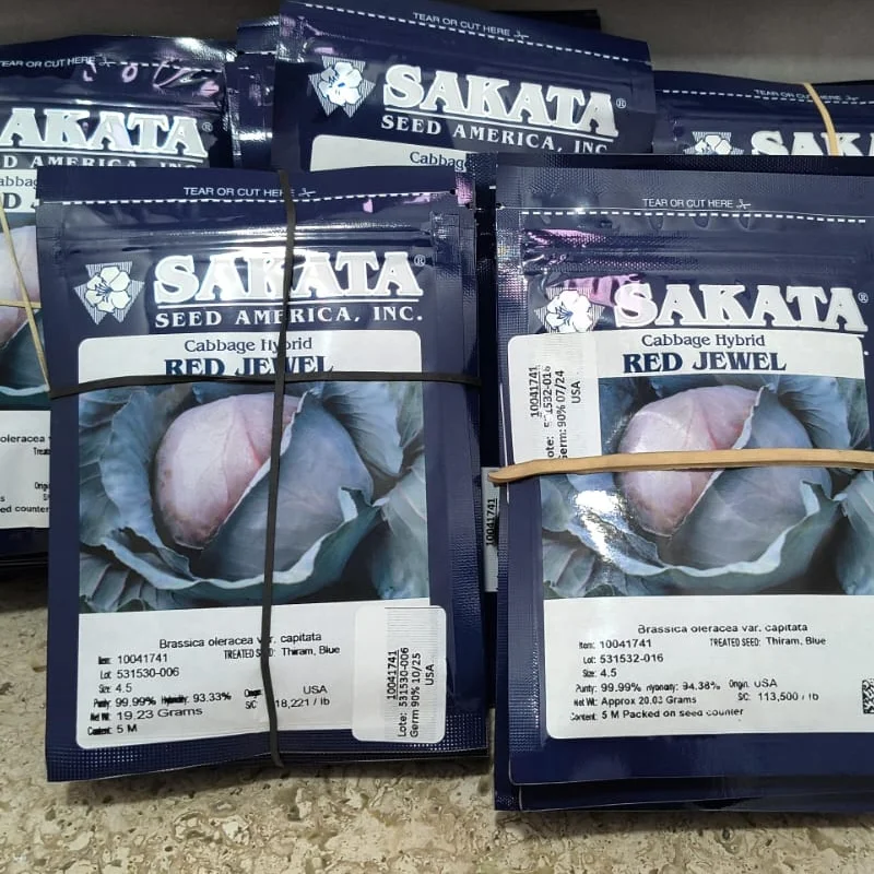 Semillas repollo morado