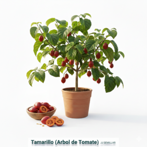 tamarillo (árbol de tomate)