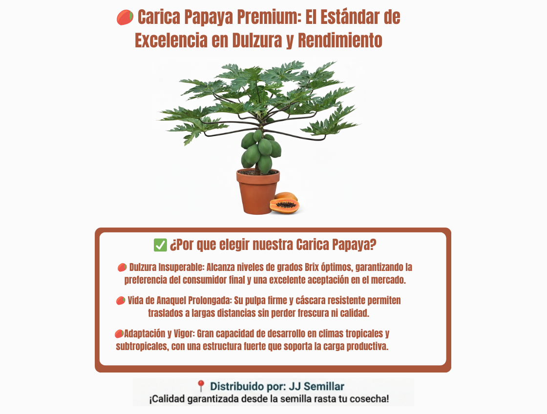carica papaya